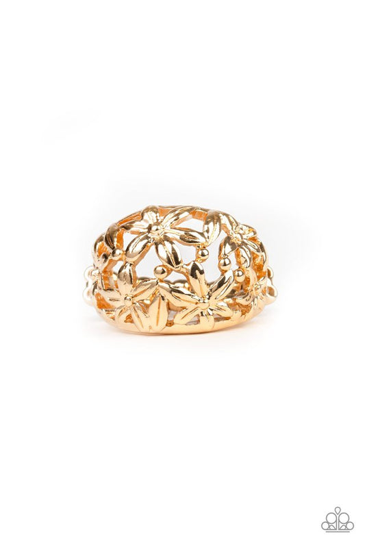 Haute Havana - Gold ring